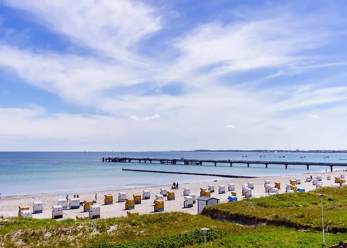 Apartment Bellevue B9